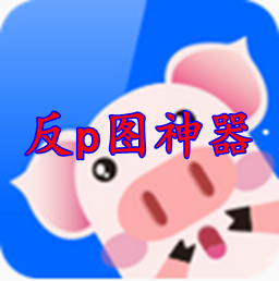 反p图神器