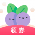 蓝莓日记app安卓版