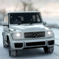 G65停车模拟器游戏