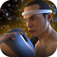 跆拳道对决泰拳