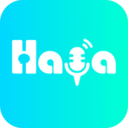 Haya软件