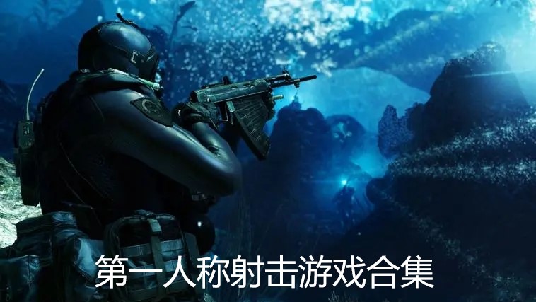第一人称射击游戏合集