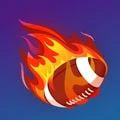 fmm2025中文版