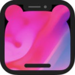 custom notch壁纸app