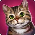 猜猜猫的品种