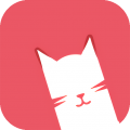 猫咪正版