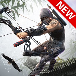 忍者信条汉化版(Ninja)