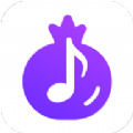 石榴音乐APP