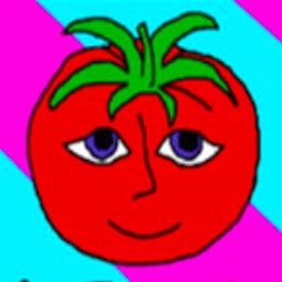 番茄先生中文版2025