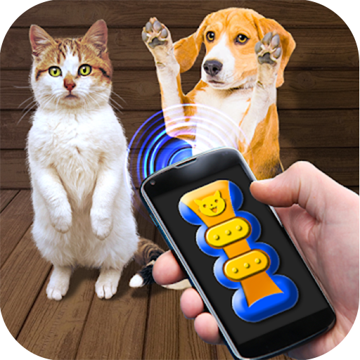 猫猫狗狗翻译器