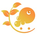 树鱼英语最新版