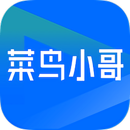 菜鸟小哥快递员版