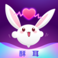 苏耳交友app