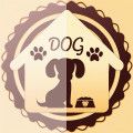 家有酷狗app