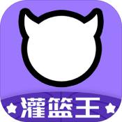 Dunk Shot 免广告