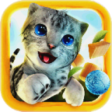 萌猫咪