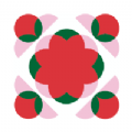 云上花都APP