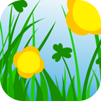 小草app