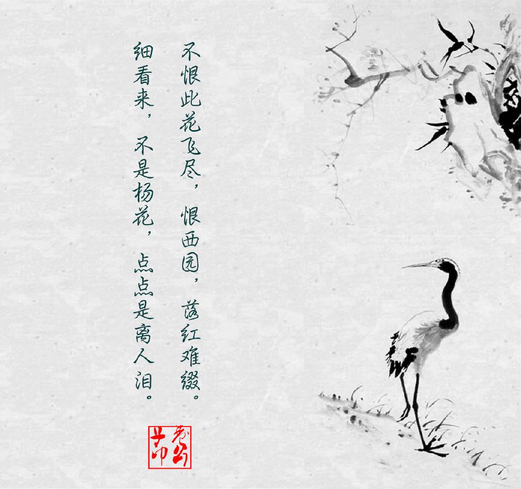 诗词软件大全