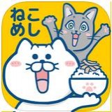 猫咪大逃亡