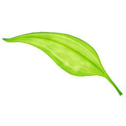 xposed框架2.6.1汉化版 v2.6.1