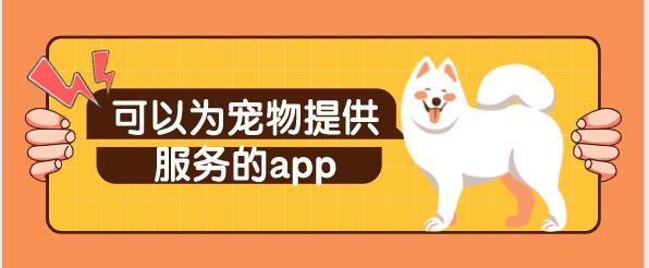 宠物服务合集