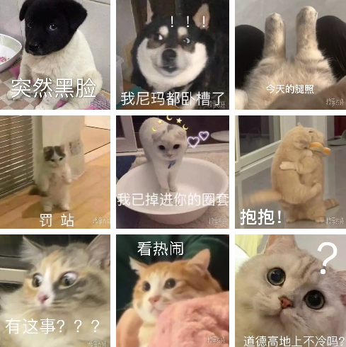 糗事百科app 1
