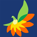 顾邻家政APP