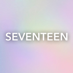 seventeen light stick