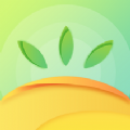 金石教育教师端app