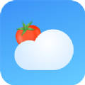番茄天气app