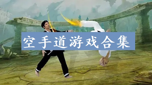 空手道游戏合集