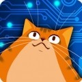 喂食小猫咪无敌版