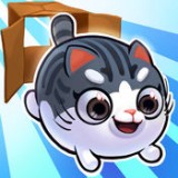 时尚猫猫女