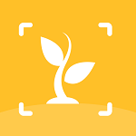 灵通植物识别app