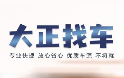 大正找车app 1