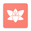 Blooming日记