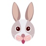 玉兔传app