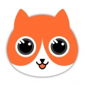 探心猫APP