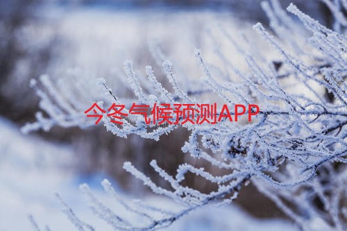 今冬气候预测app