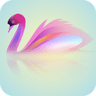  养鱼小高手壁纸app