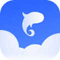 飞鱼天气APP