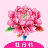 牡丹转阅读