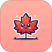 红枫网络专家app