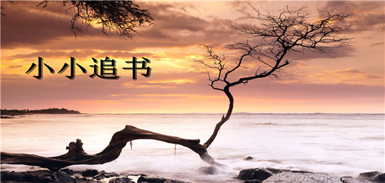 小小追书APP