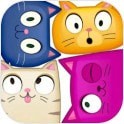 猫咪大厦最新版