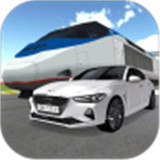 RealDrivingSim中文版