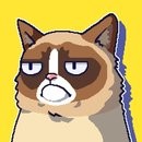 抓鱼的小猫2选关版