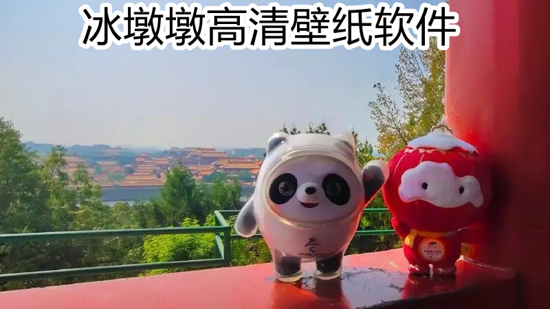 冰墩墩高清壁纸软件