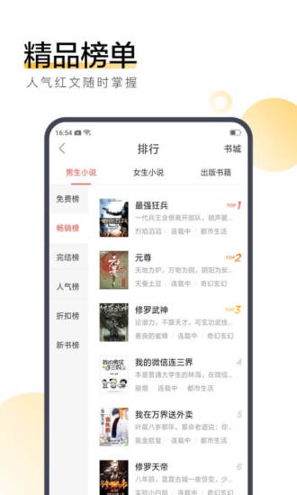白薯小说 1